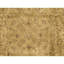 Hand Knotted Wool Area Rug in Gold