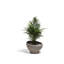 Luna Planter-921280414-921280421