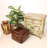 Aecca Leather Ottoman