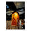 Metro Fusion Novelty Pendant Shade