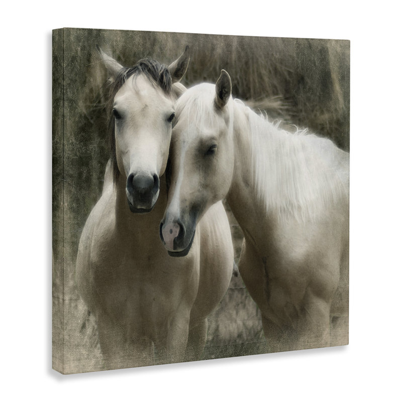 Art mural sur toile «Snuggle Horses on Farm» par Rhonda Addison, H 30 po x l 30 po