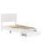 Huntsville 4-Drawer Velvet Upholstered Platform Bed-242197126-232083511