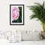 Peony Flower Plant - Single Picture Frame Print-1917421492-1917421495
