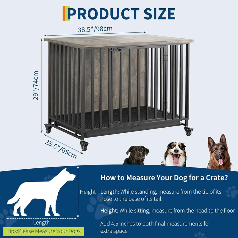 Dog House