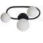 Haslett Glass Spotlight