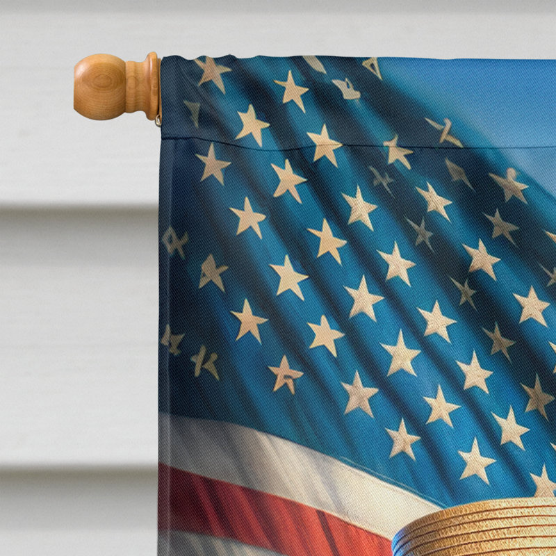 Drapeau «All American House», Bichon havanais