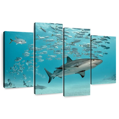 Brampt Caribbean Fish And Sharks