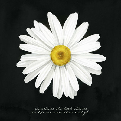 " Delicate Daisy I " by Grace Popp