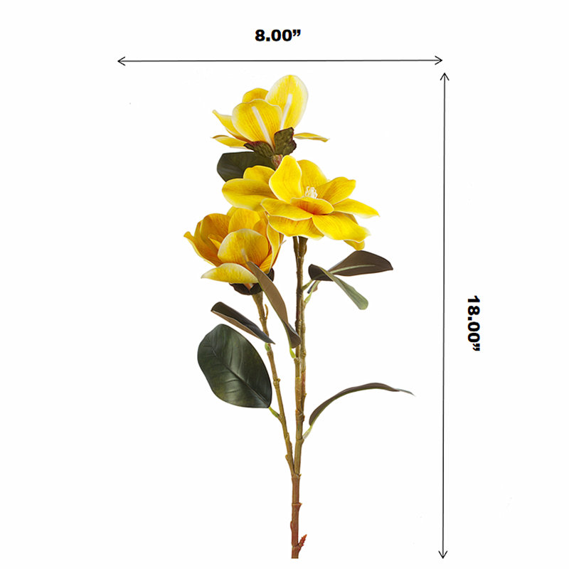Magnolia Arrangement, Yellow