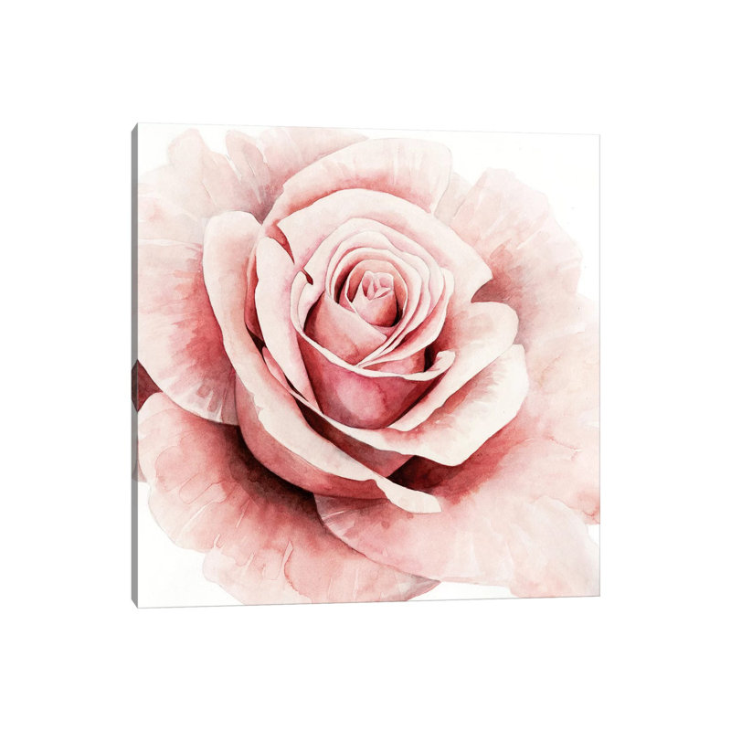 Pink Rose I by Grace Popp - Wrapped Canvas Painting, 66.04 cm H x 66.04 cm W x 1.91 cm D