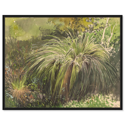 Meadow with Fountain Grass 