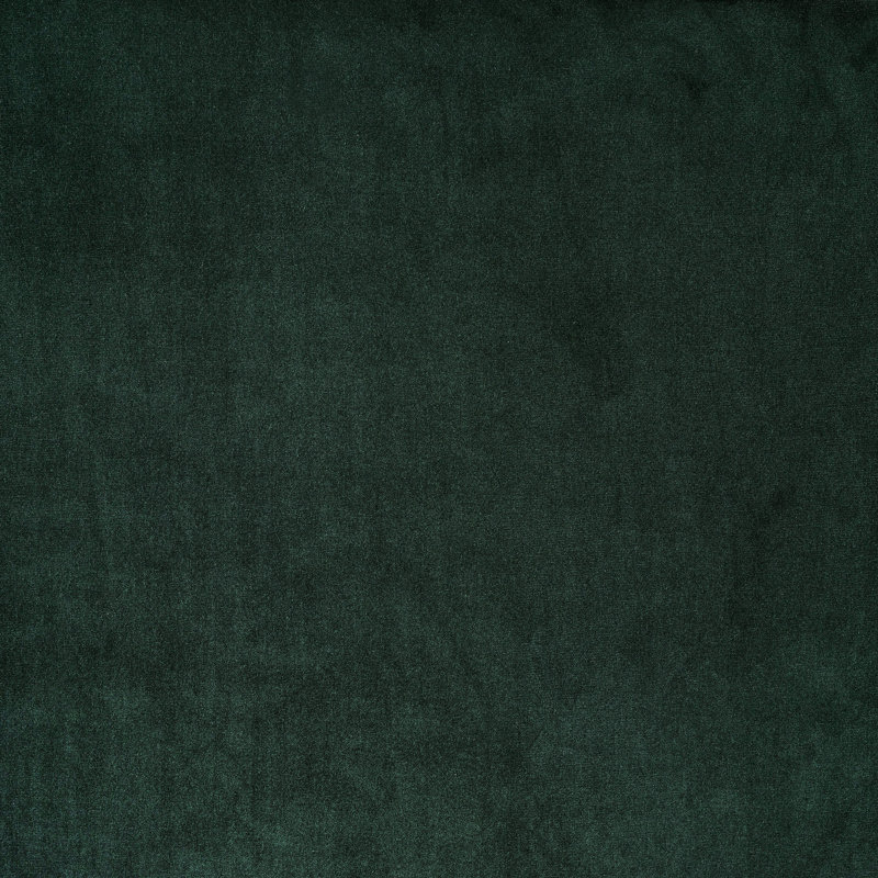 Claire Fabric