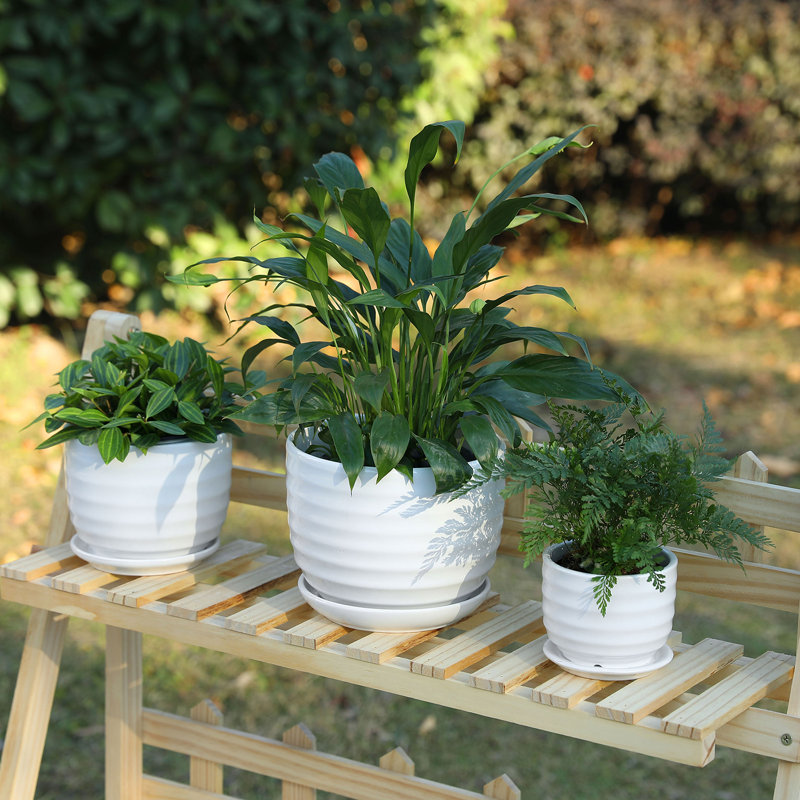 Ceramic Pot Planter, White