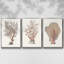 Sandstone Peel I - ensemble de 3 reproductions sur toile-97706494-97706493