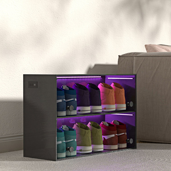 Latitude Run® Ticarra 6 Pair Shoe Storage Cabinet | Wayfair