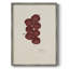 Impression florale vintage encadrée XLVI - bois massif-1380375882