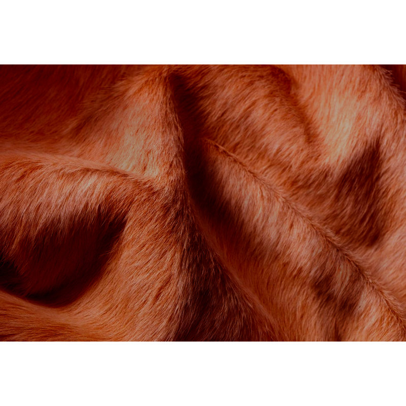 Tapis brun en cuir de vache fait à la main Plainsboro, 5 pi x 7 pi