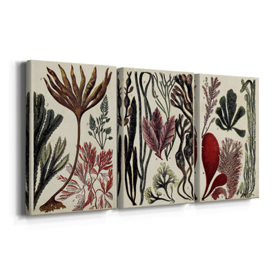 Coral & Seaweed Montage I  -Custom Wrapped Gallery Canvas - 3 Pieces