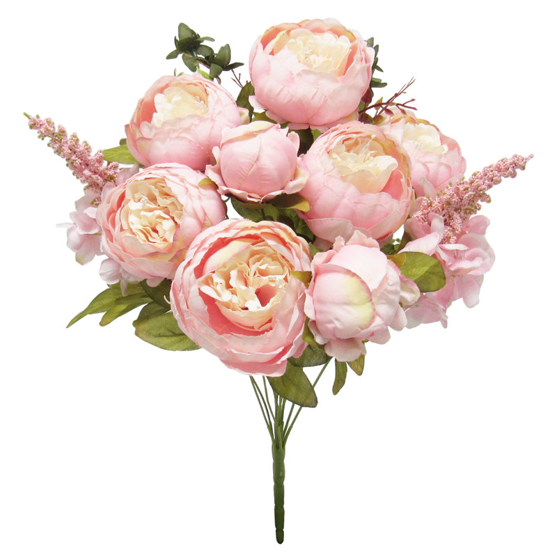 Buisson de pivoines de luxe mélangé, Rose crème