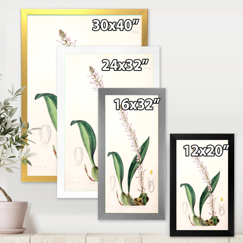 Vintage London Plants V - peinture sur toile, H 20 po x l 12 po x P 1po, Cadre doré