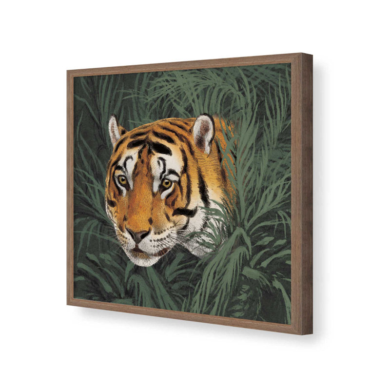 «Jungle Cat Bust II» par Wild Apple Portfolio, reproduction d'art, H 12 po x l 12 po, Brun