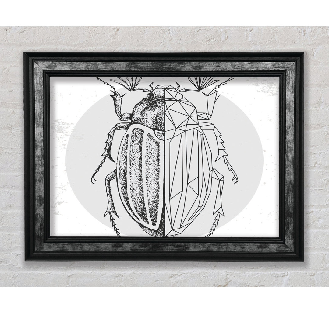 The Beetle Sketch - Einzelner Bilderrahmen Kunstdrucke