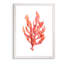 "coral kelp i" par paul cezanne-reproduction d’art sur toile encadrée-2135966800-2135966801