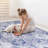 Blue Area Rug, Machine Washable Area Rugs, Low-Pile Non-Slip Non-Shedding Foldable Kid&Pet Friendly, Area Rugs For Living Room, Bedroom, Kitchen, Dining Room Rug - Perfect Gift, (Blue)-1164219788
