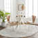 Oriental Indoor Rug