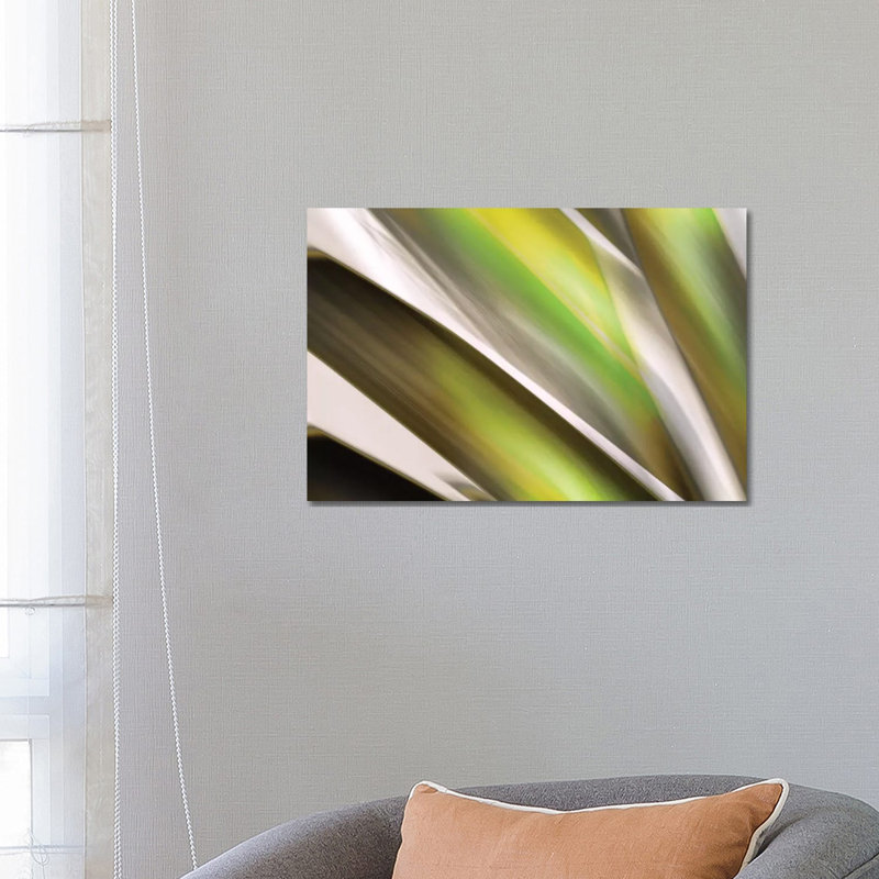 Organic VI by PI Studio - Wrapped Canvas Painting, 66.04 cm H x 45.72 cm W x 1.91 cm D