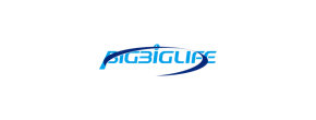 Logo Bigbiglife