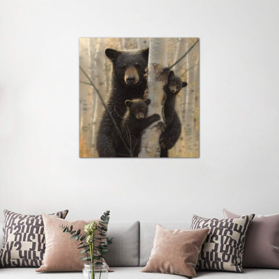 " Mama Black Bear, Square " by Collin Bogle
