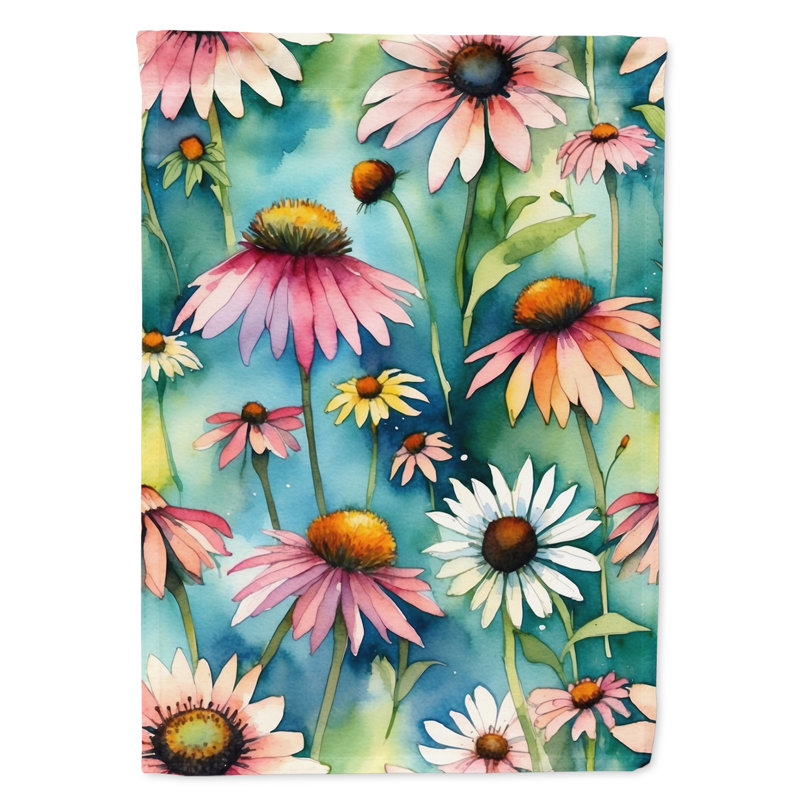 Drapeau d'hypericum ou de millepertuis, Coneflowers