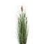Herbe droite artificielle et quenouilles-73282466