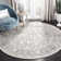 Calidia Oriental Dark Gray/Cream Area Rug
