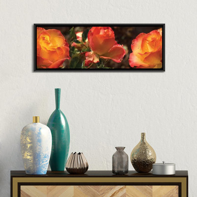« close-up of roséing on orange rose roses », reproduction de photo sur toile