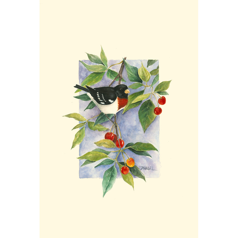 Red-Breasted Grosbeak by Janet Mandel - Wrapped Canvas Painting, 46cm H x 30cm W
