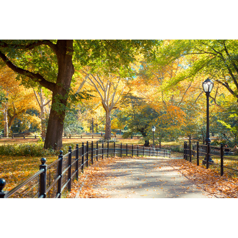 Central Park Fall by Littleny - Wrapped Canvas Print, 20cm H x 30cm W x 3.8cm D