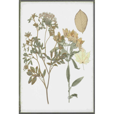 Fleurs pressées à livre II