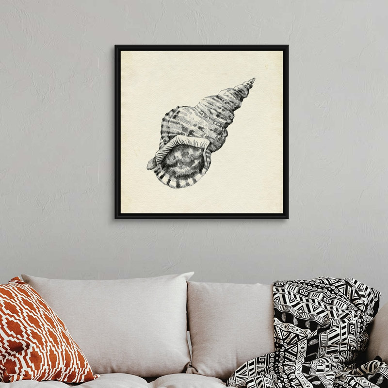 Croquis de coquillage I par Emma Caroline - reproduction d'art, Toile avec cadre noir, H 32 po x l 32 po x P 1,75 po