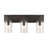 3 - Light Dimmable Vanity Light
