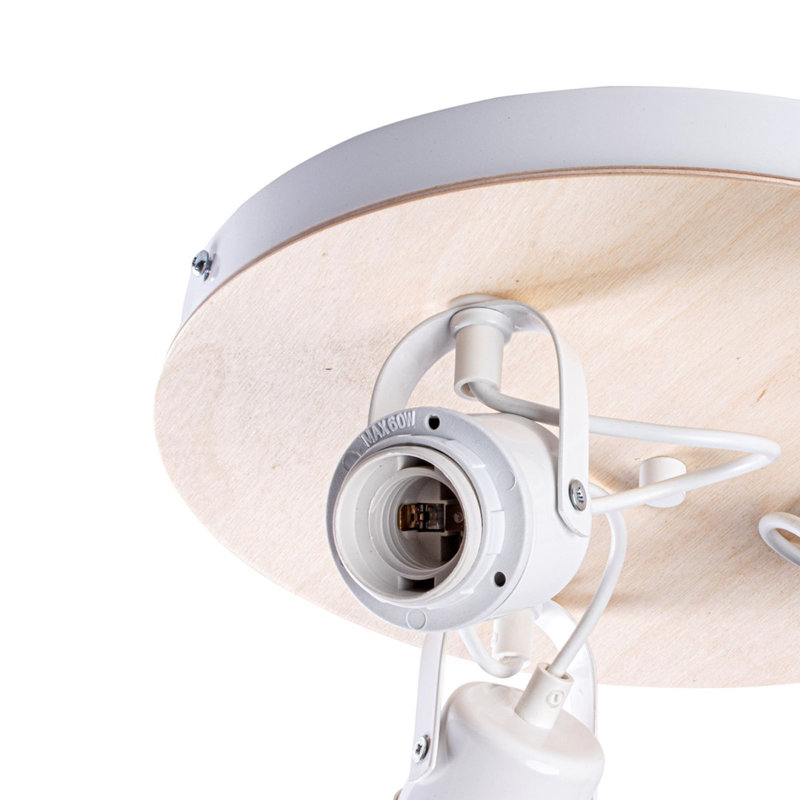 Oval Spotlight