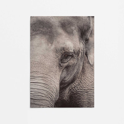 «Wise Gaze Print», dans un cadre,