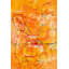 Orange Dragonfly Painting Canvas