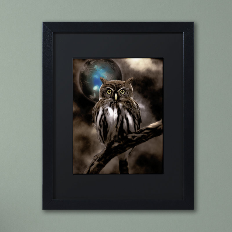 «Jadaya Night Owl» par Color Bakery, impression encadrée, H 20 po x l 16 po x P 0,5 po, Toile avec cadre en bouleau, Noir