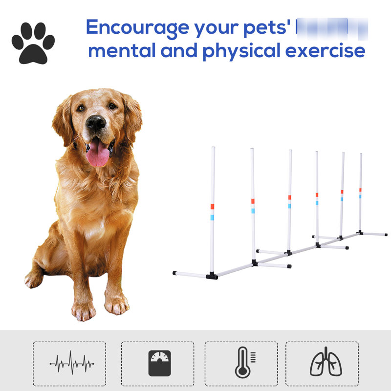 Trousse d'obstacles pour chiens Faciliter les exercices physiques pour les chiens. Portable et gérable. Entièrement réglable. Établissez un lien plus profond avec votre animal de compagnie.