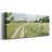 " Meadow Trail I "