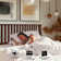 Kristoffer Solid Wood Bed Frame with Headboard