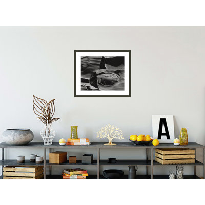 «Shore Acres State Park Oregon» par Major White, impression giclée sur cadre