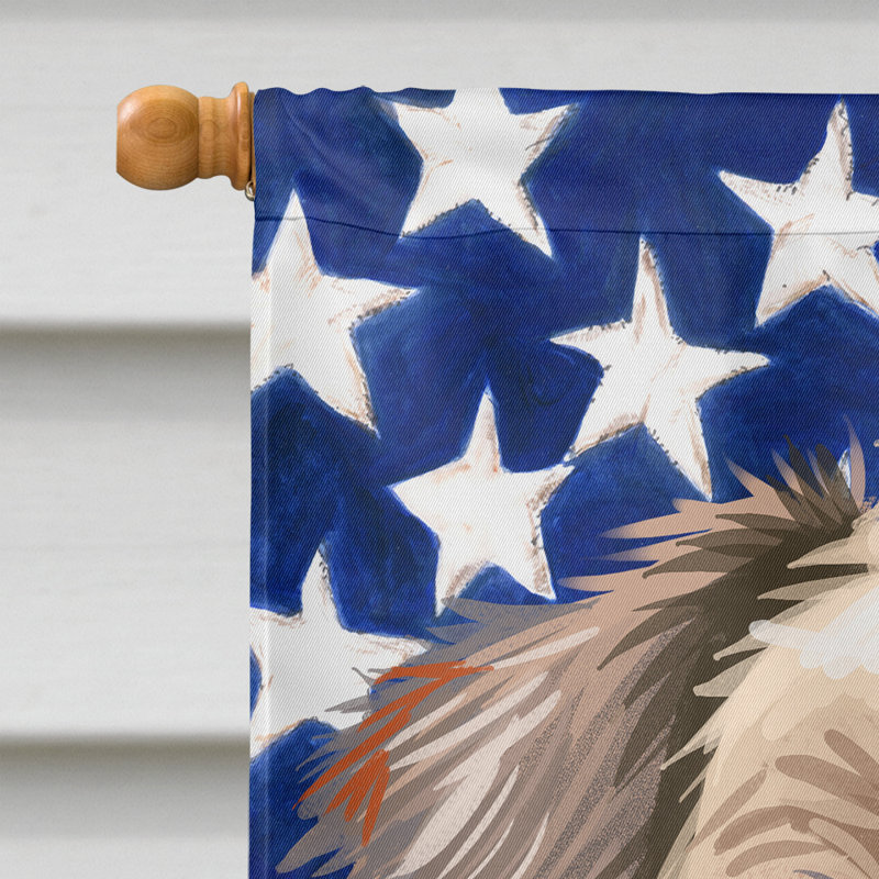 Polyester à 2 côtés 28 x 40 po drapeau maison, Terrier irlandais